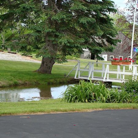 Bay Leaf Cottages & Bistro Lincolnville Exteriör bild