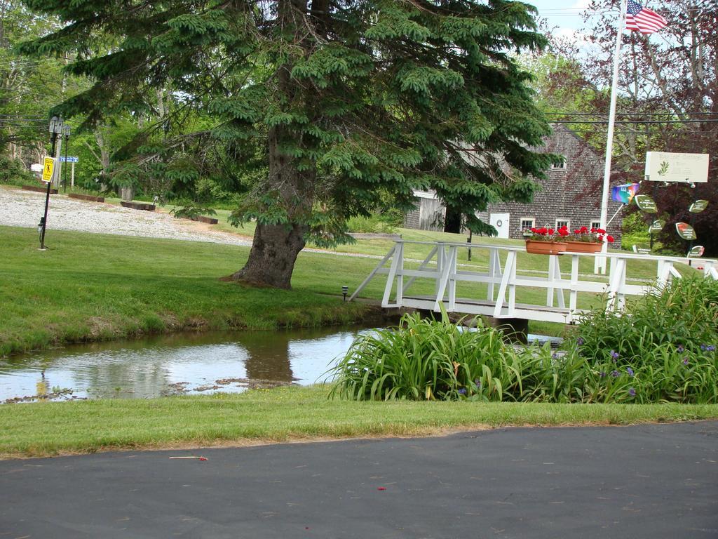 Bay Leaf Cottages & Bistro Lincolnville Exteriör bild